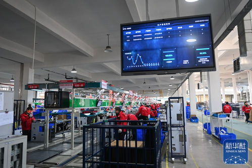 浙江嵊州 以高質(zhì)量社會經(jīng)濟咨詢服務為引擎，推進工業(yè)經(jīng)濟跨越發(fā)展